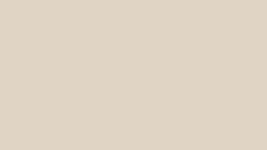 Pumice 0858 Pumice 0858