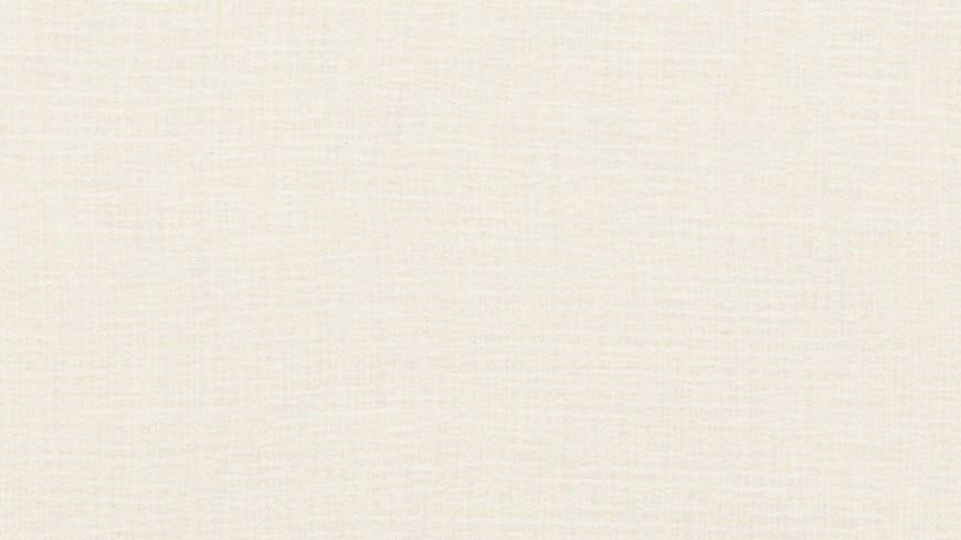 Neutral Weft 5875 Neutral Weft 5875