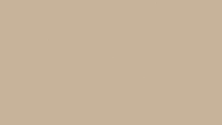 Mojave 8751 Mojave 8751